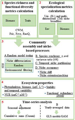 Multiple phytoplankton community responses to environmental change in a temperate coastal system: A trait-based approach